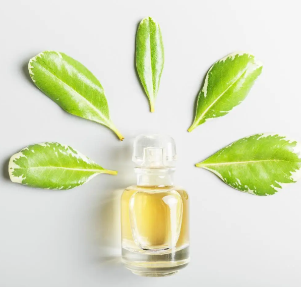 What Are Fragrance Oils?