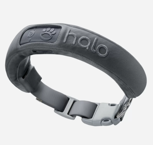 Halo Wireless Dog Fence and GPS Dog Collar