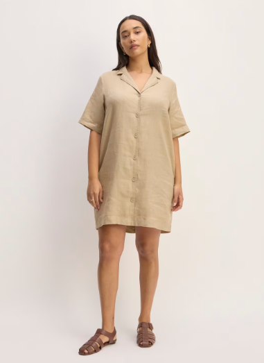 Everlane The Linen Shirt Dress